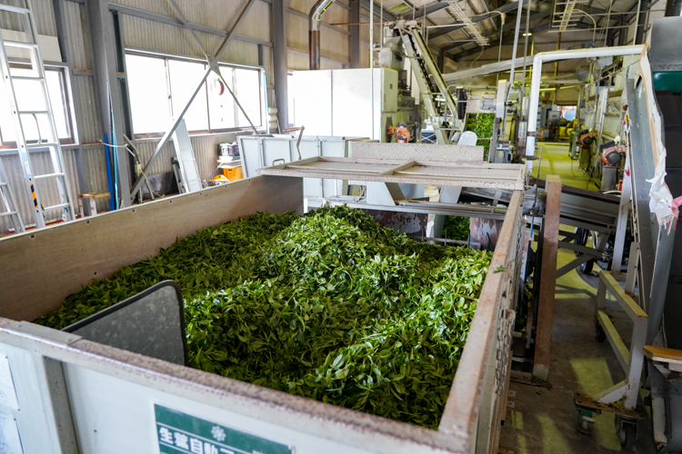 柳田製茶の製茶工場